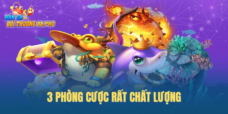 3 phòng cược rất chất lượng 3 phòng cược rất chất lượng