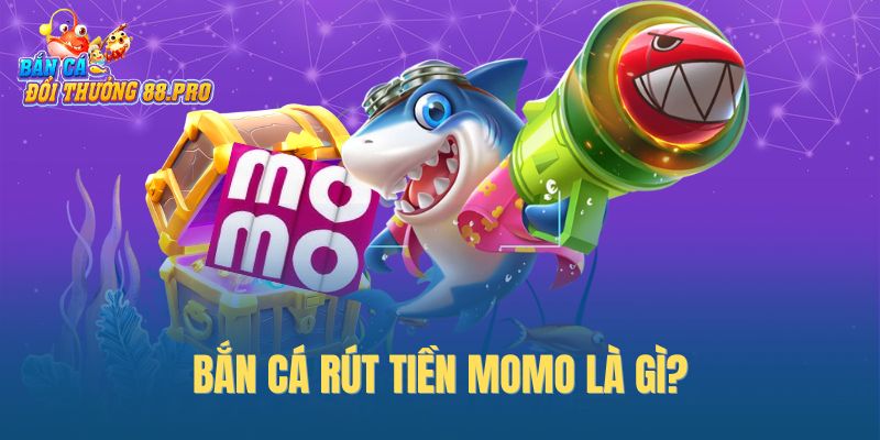 Bắn cá rút tiền Momo là gì? Bắn cá rút tiền Momo là gì?