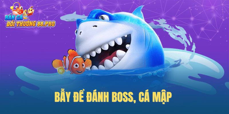 Bẫy để đánh boss, cá mập Bẫy để đánh boss, cá mập