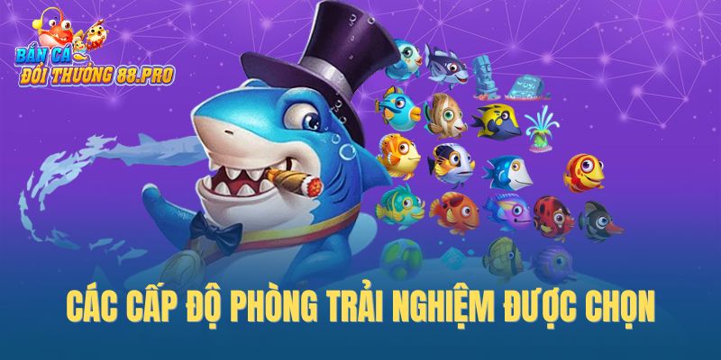 Các cấp độ phòng trải nghiệm được chọn Các cấp độ phòng trải nghiệm được chọn