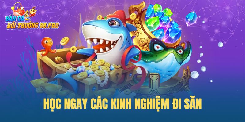 Học ngay các kinh nghiệm đi săn Học ngay các kinh nghiệm đi săn