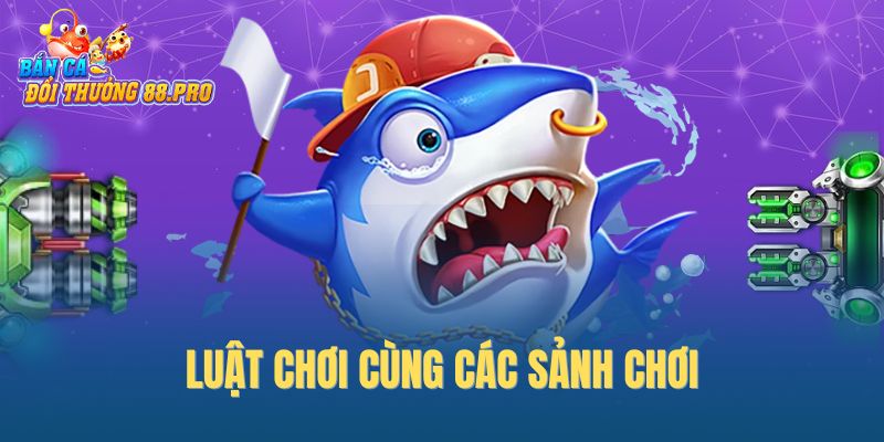 Luật chơi cùng các sảnh chơi Luật chơi cùng các sảnh chơi