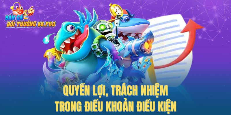 Quyền lợi, trách nhiệm trong điều khoản điều kiện Quyền lợi, trách nhiệm trong điều khoản điều kiện
