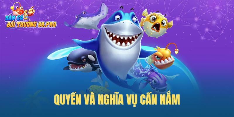 Quyền và nghĩa vụ cần nắm Quyền và nghĩa vụ cần nắm