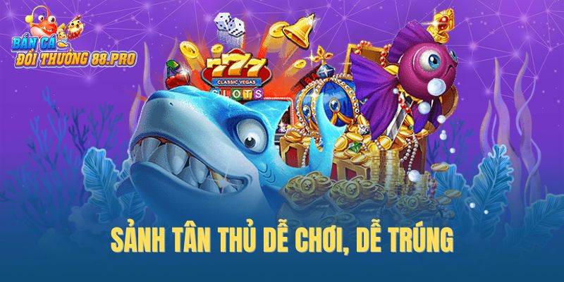 Sảnh tân thủ dễ chơi, dễ trúng Sảnh tân thủ dễ chơi, dễ trúng