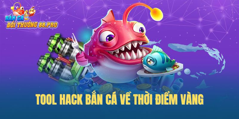 Tool hack bắn cá về thời điểm vàng Tool hack bắn cá về thời điểm vàng